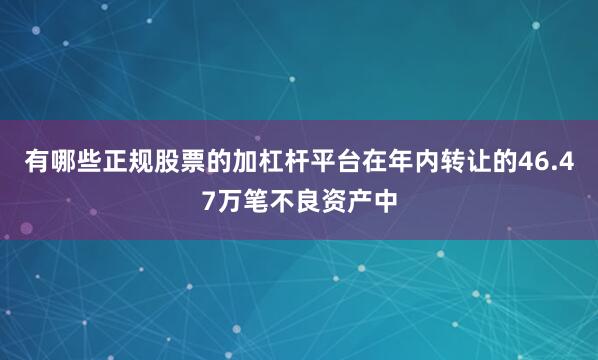 有哪些正规股票的加杠杆平台在年内转让的46.47万笔不良资产中