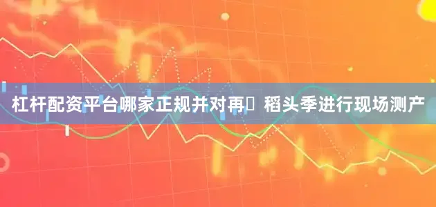 杠杆配资平台哪家正规并对再⽣稻头季进行现场测产
